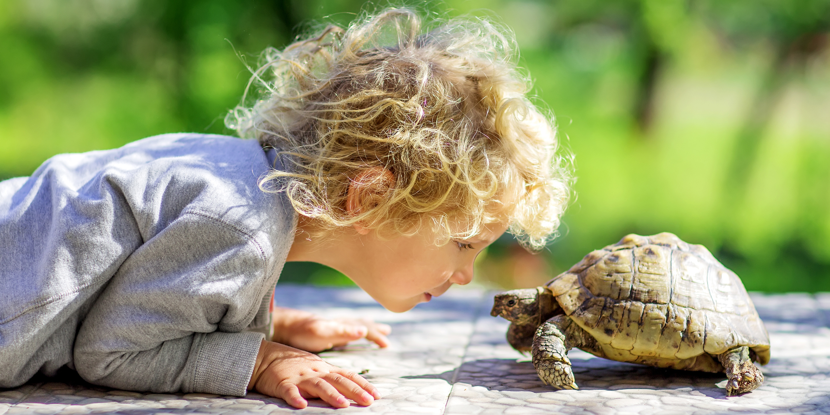 Leren - een kwestie van proberen, in kleine stapjes